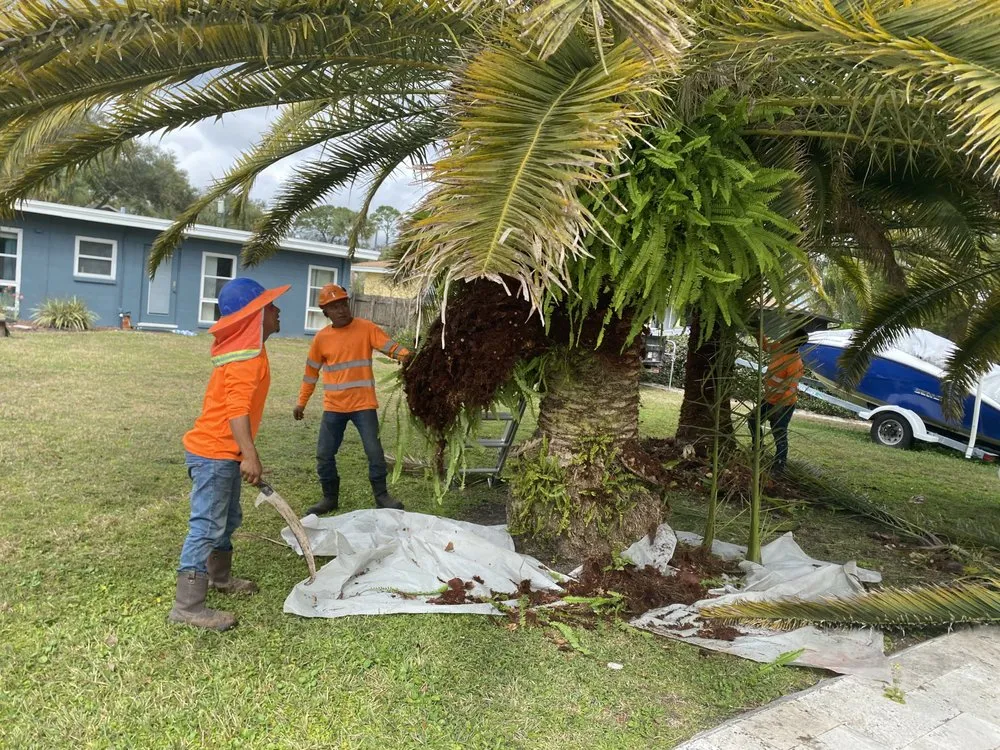 Professional lawn mowing service for homes in Sanford, FL by King of Nature Landscaping & Tree Services