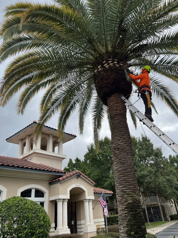 Professional lawn mowing service for homes in Sanford, FL by King of Nature Landscaping & Tree Services