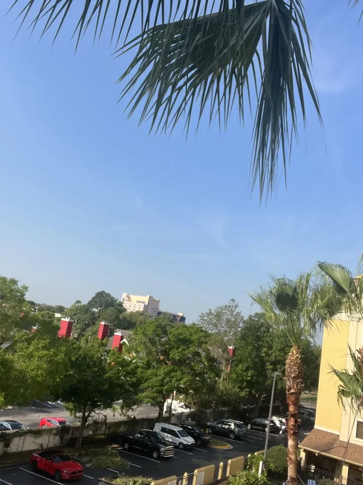 Custom yard cleanup service in Sanford, FL by King of Nature Landscaping & Tree Services