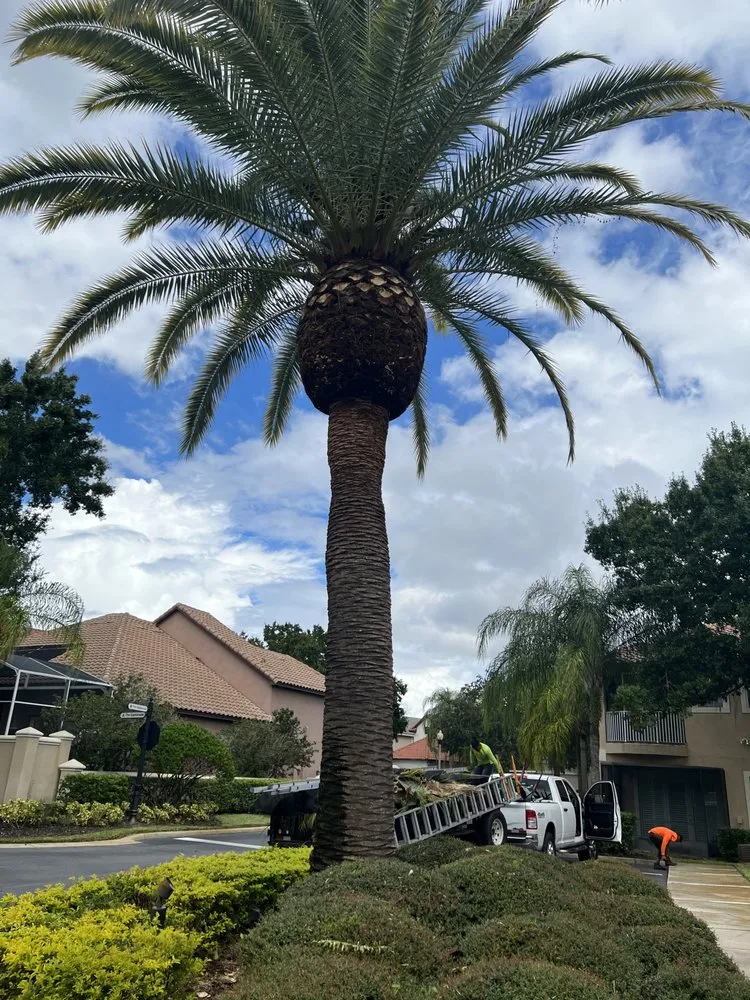 Custom outdoor landscaping experts serving Sanford, FL - King of Nature Landscaping & Tree Services