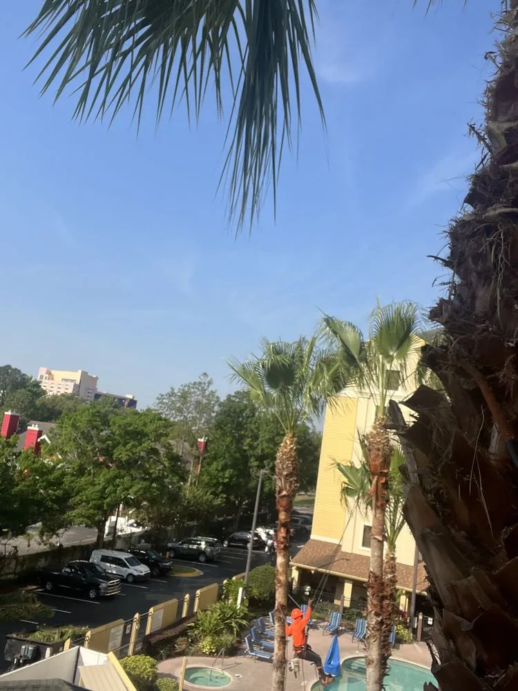 Trusted garden landscaping for homes across Sanford, FL - King of Nature Landscaping & Tree Services