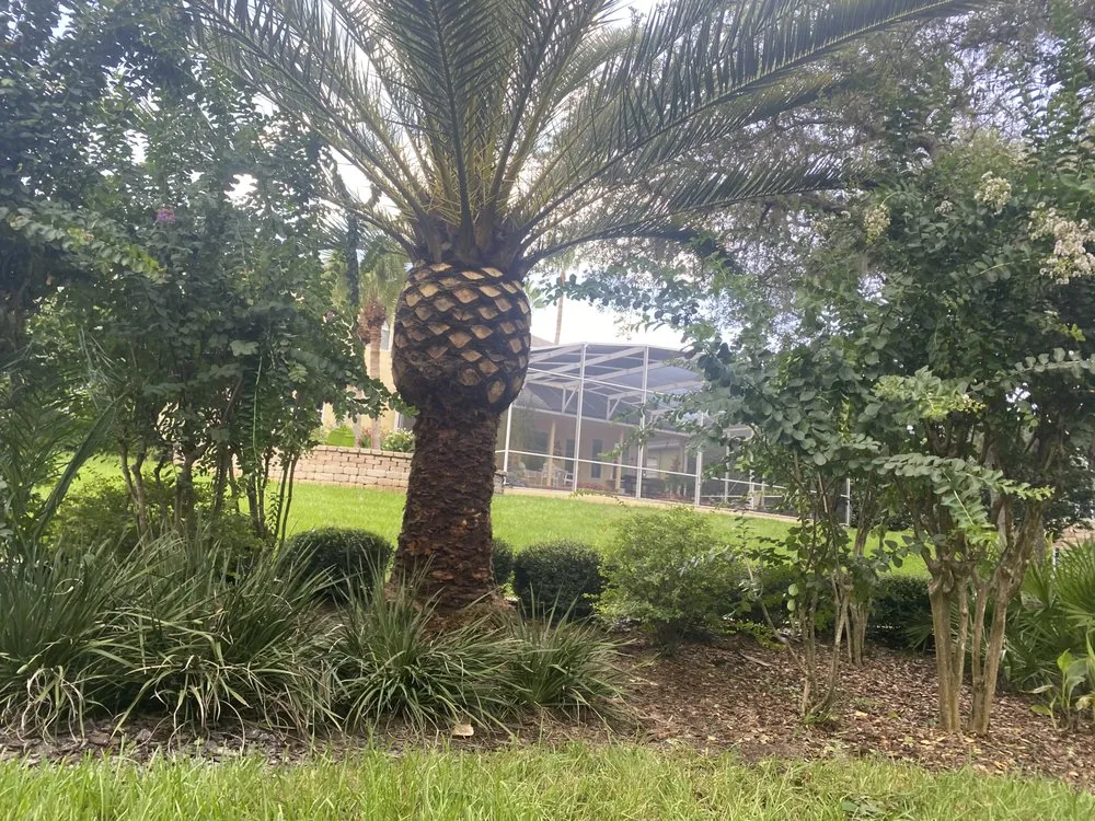 Expert residential landscaping experts serving Sanford, FL - King of Nature Landscaping & Tree Services