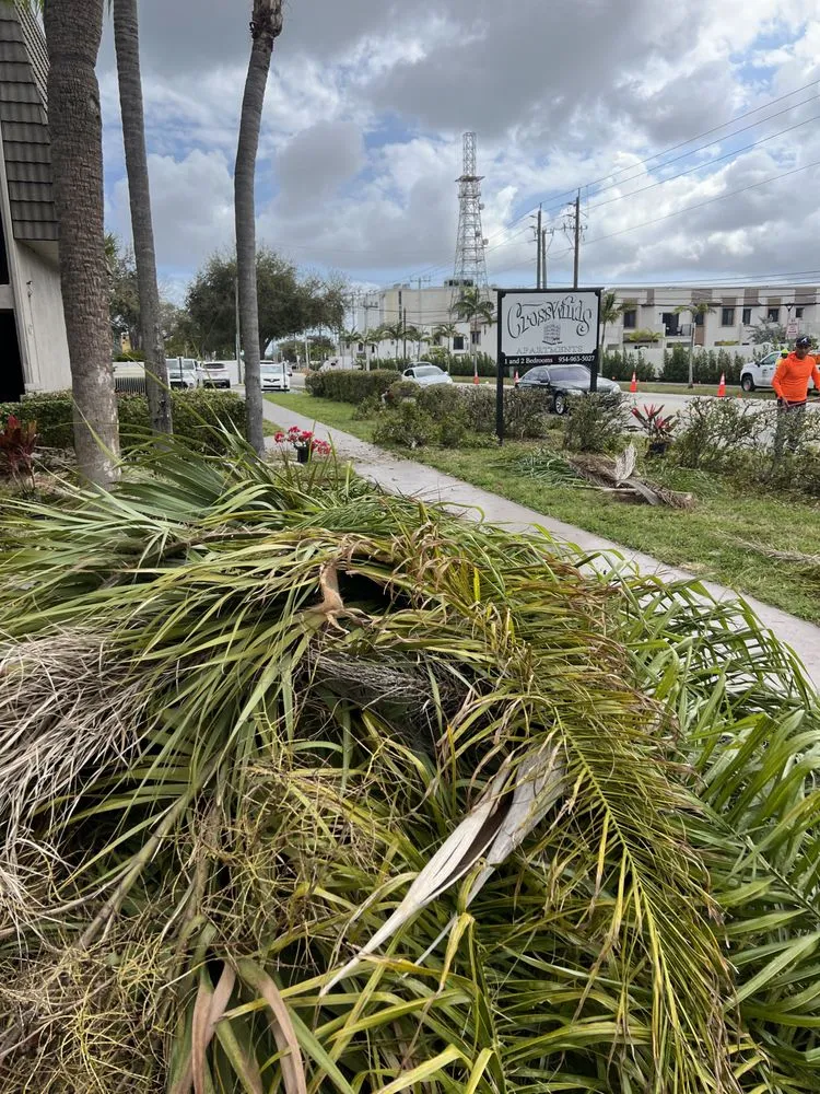 Local lawn mowing service for year-round maintenance in Sanford, FL by King of Nature Landscaping & Tree Services