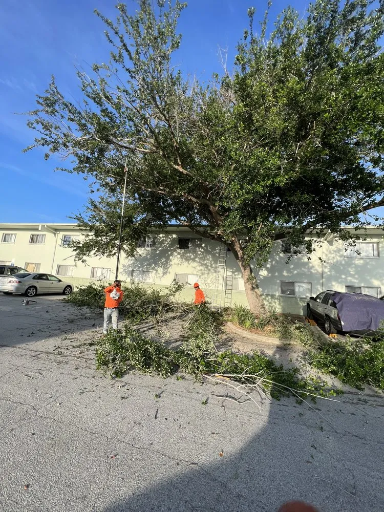 Top-rated landscape design in Sanford, FL by King of Nature Landscaping & Tree Services