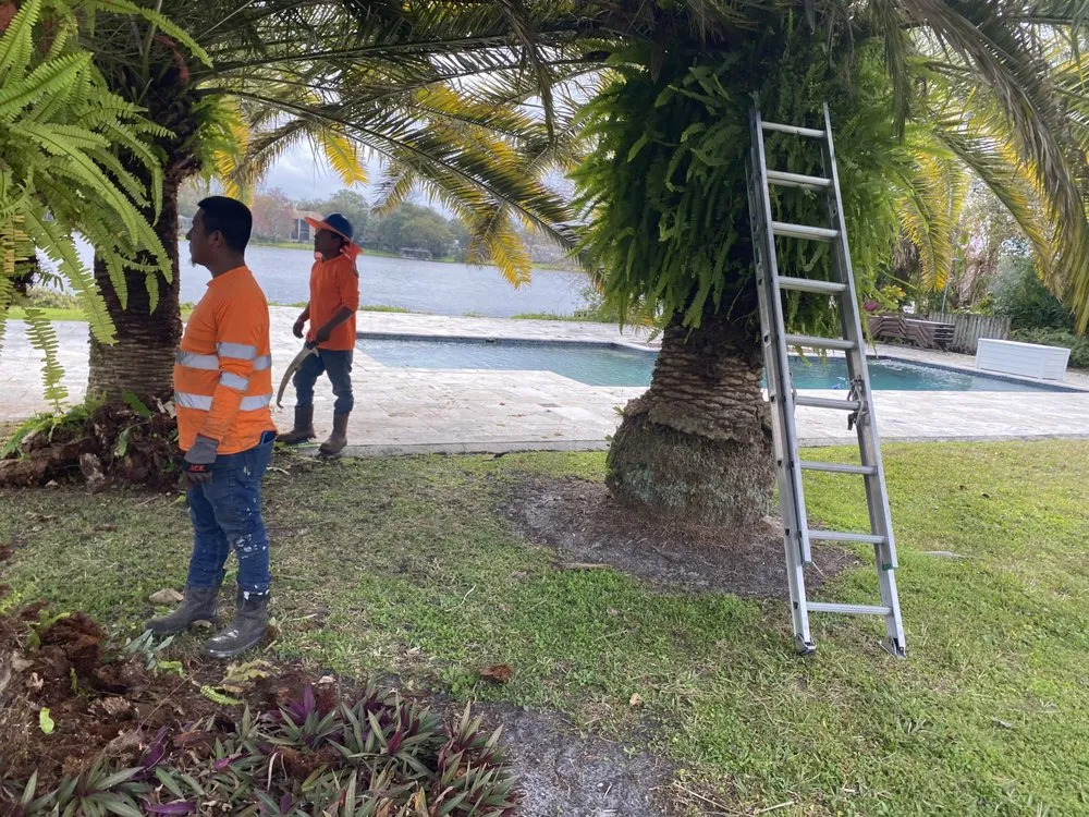 Affordable landscape design experts serving Sanford, FL - King of Nature Landscaping & Tree Services