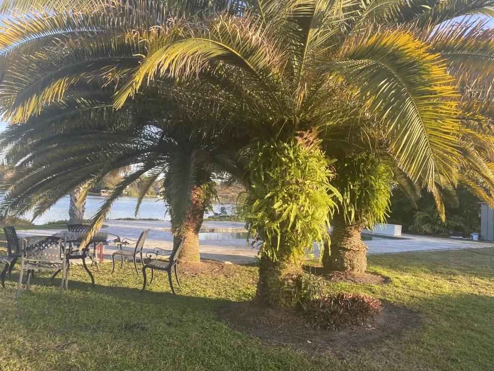 Expert lawn mowing service for homes in Sanford, FL by King of Nature Landscaping & Tree Services