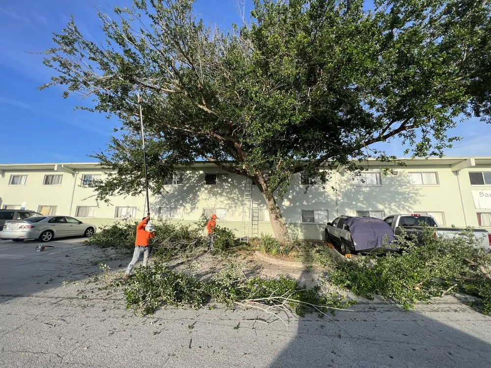 Trusted yard cleanup service for homes in Sanford, FL by King of Nature Landscaping & Tree Services