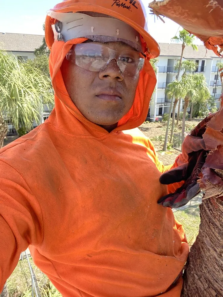 Professional yard maintenance experts serving Sanford, FL - King of Nature Landscaping & Tree Services