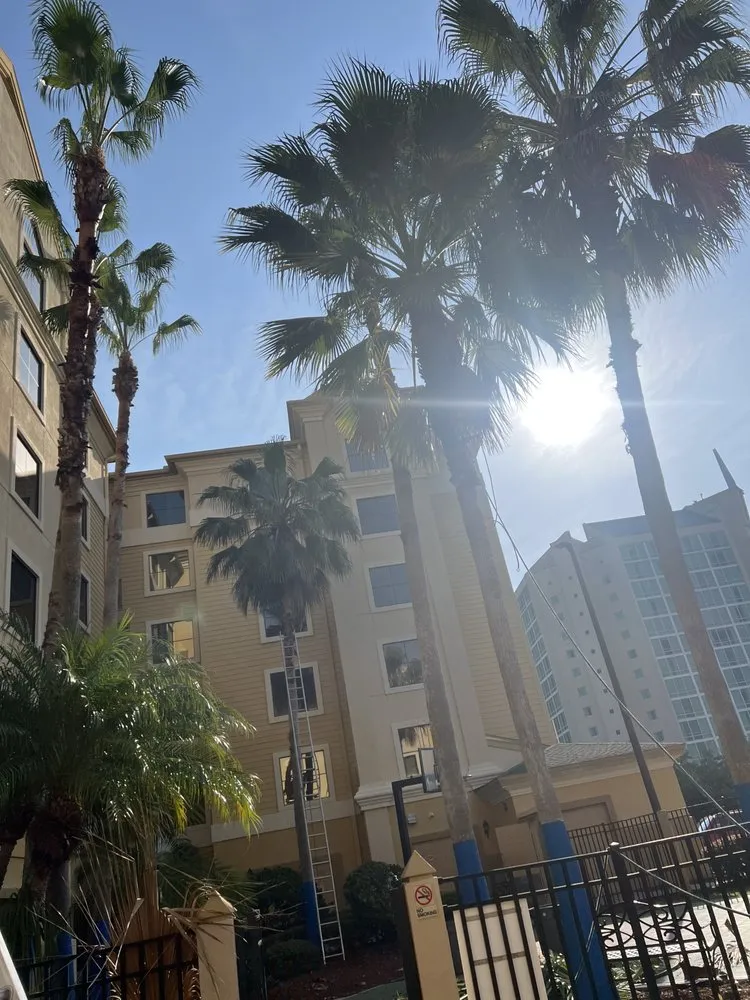 Expert landscape design experts serving Sanford, FL - King of Nature Landscaping & Tree Services