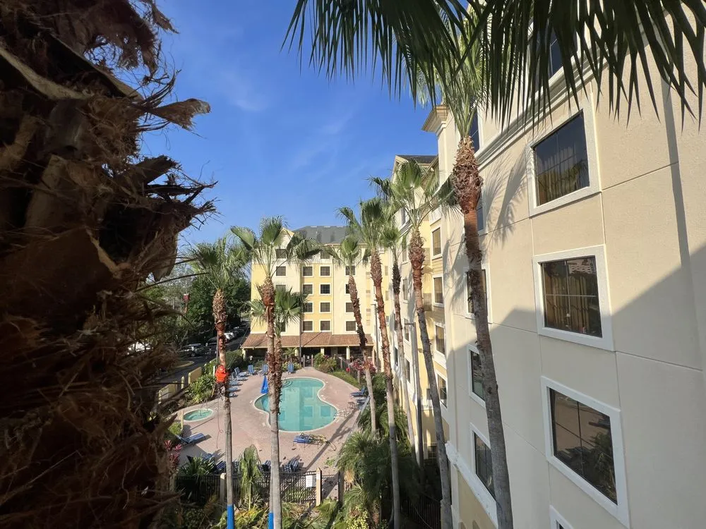 Professional residential landscaping in Sanford, FL by King of Nature Landscaping & Tree Services