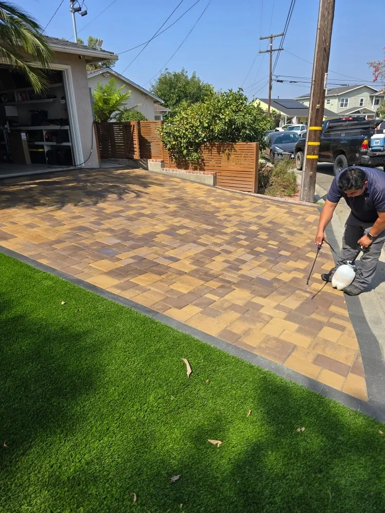 Custom lawn care service experts serving National City, CA - King Of The Garden Landscaping