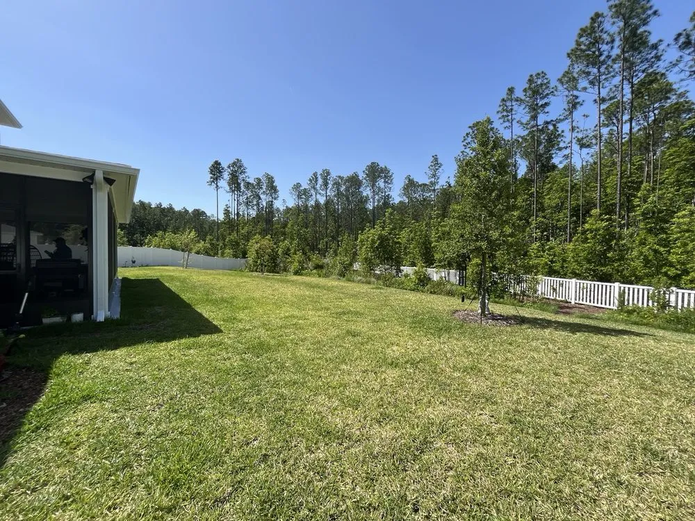 Reliable lawn mowing service in Jacksonville, FL by King of Yard Solutions