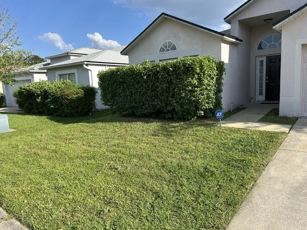 Trusted landscaping services in Jacksonville, FL by King of Yard Solutions