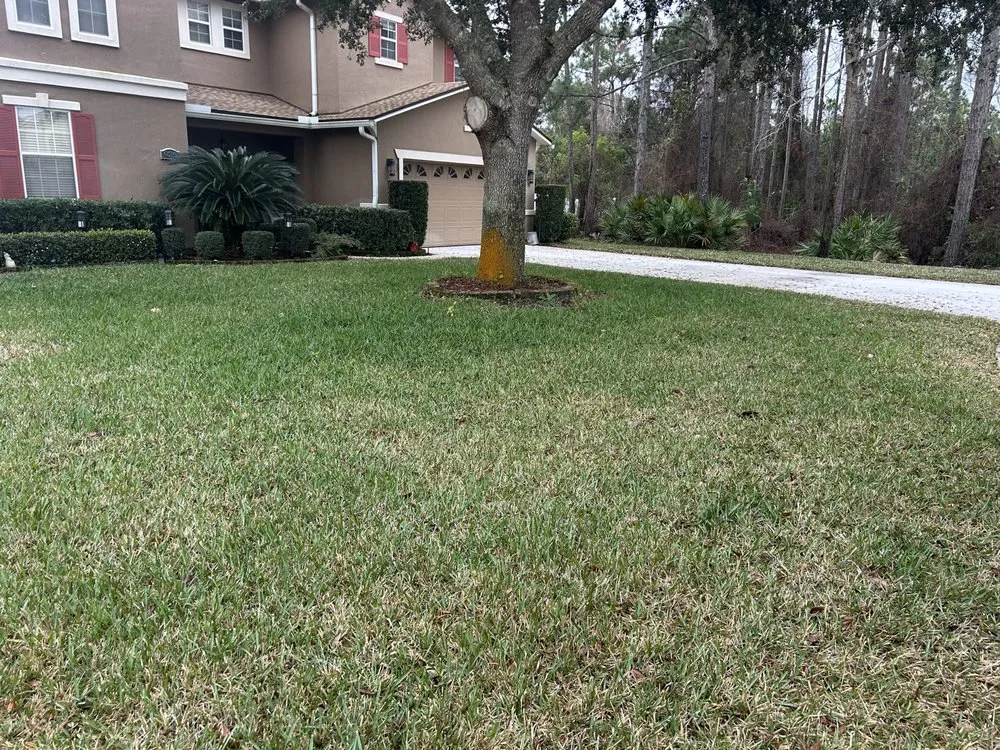 Top-rated residential landscaping in Jacksonville, FL by King of Yard Solutions