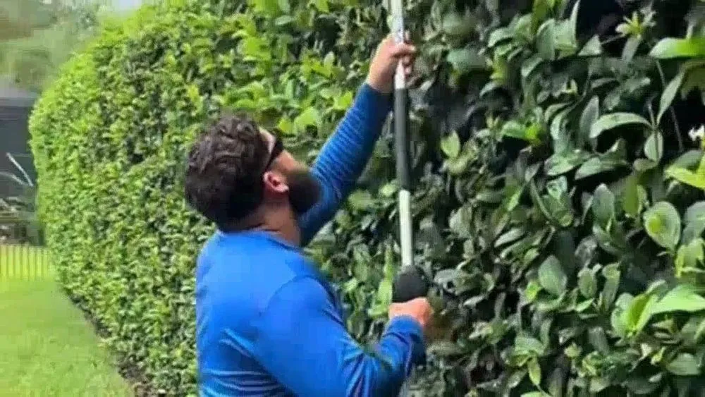 Expert yard cleanup service for year-round maintenance across Jacksonville, FL - King of Yard Solutions