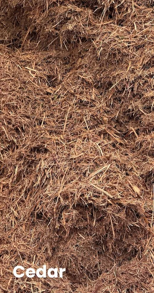Trusted yard maintenance experts serving Spring Branch, TX - King Operations