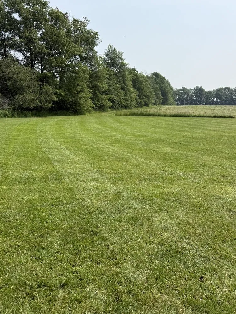 Expert lawn care service for beautiful yards across Kenton, OH - King Outdoor Solutions