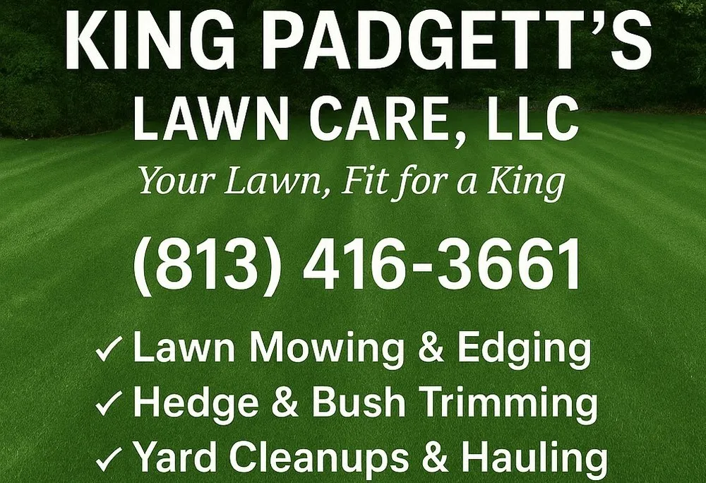 Expert yard cleanup service in Tampa Bay, FL by King Padgett’s Lawn Care
