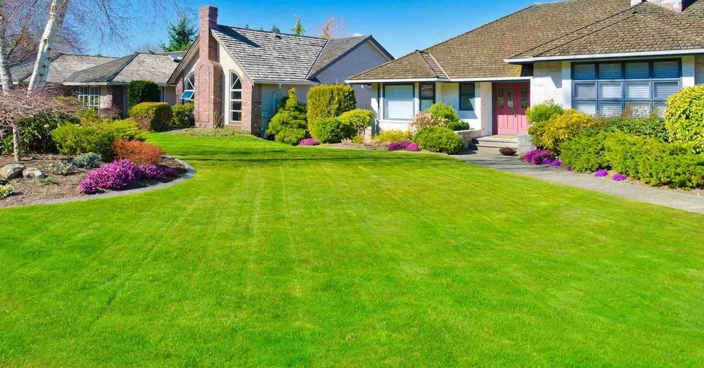 Reliable landscape design with custom design across Beloit, WI - King Property Services