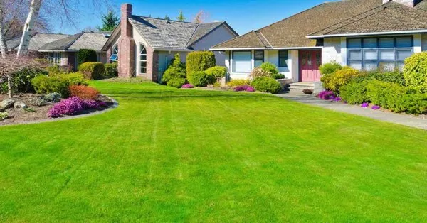 King Property Services