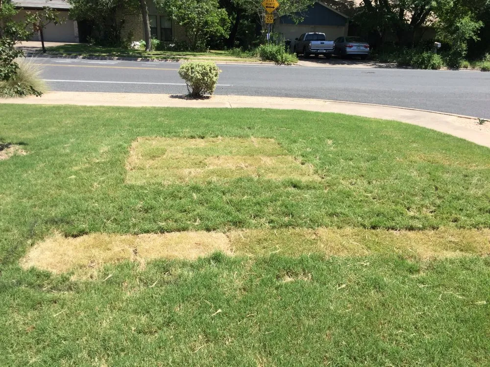 Professional yard cleanup service in Austin, TX by King Ranch Turfgrass