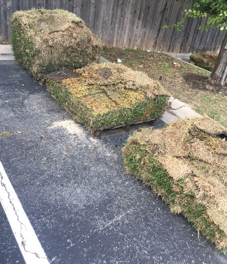 Expert lawn mowing service for residential properties across Austin, TX - King Ranch Turfgrass