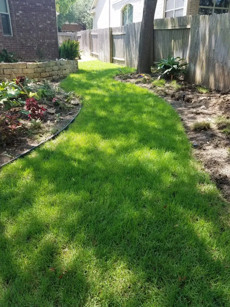 Local landscape design near you in Austin, TX by King Ranch Turfgrass