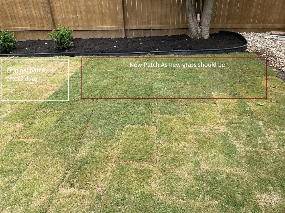 Local lawn mowing service near you in Austin, TX by King Ranch Turfgrass