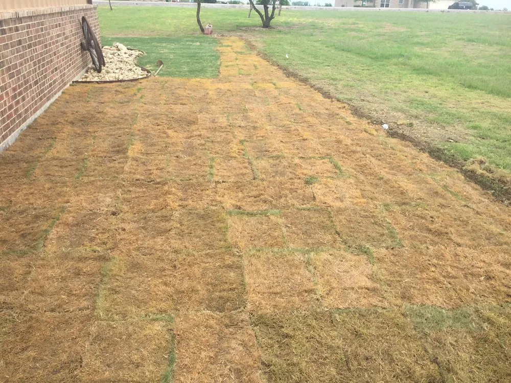Custom residential landscaping in Austin, TX by King Ranch Turfgrass
