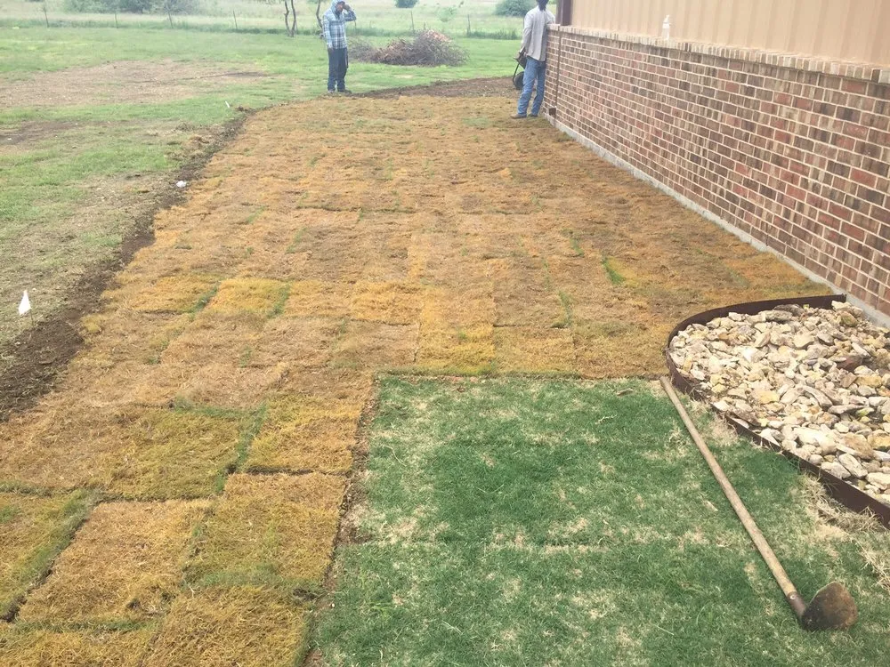 Professional lawn mowing service for residential properties across Austin, TX - King Ranch Turfgrass