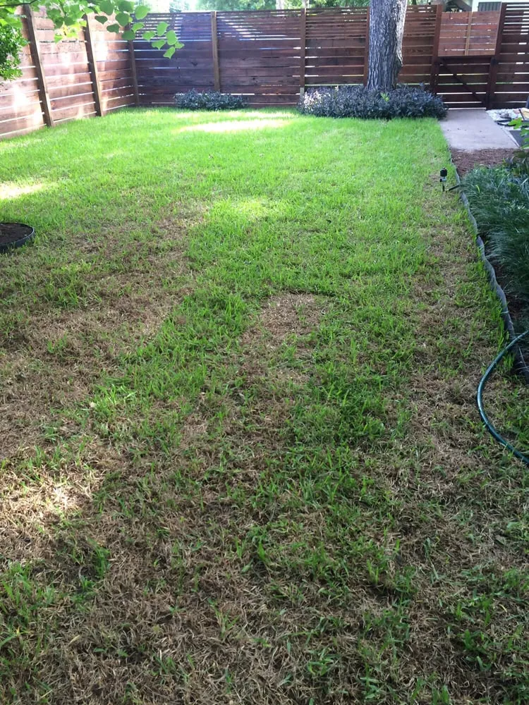 Custom landscape installation for year-round maintenance in Austin, TX by King Ranch Turfgrass