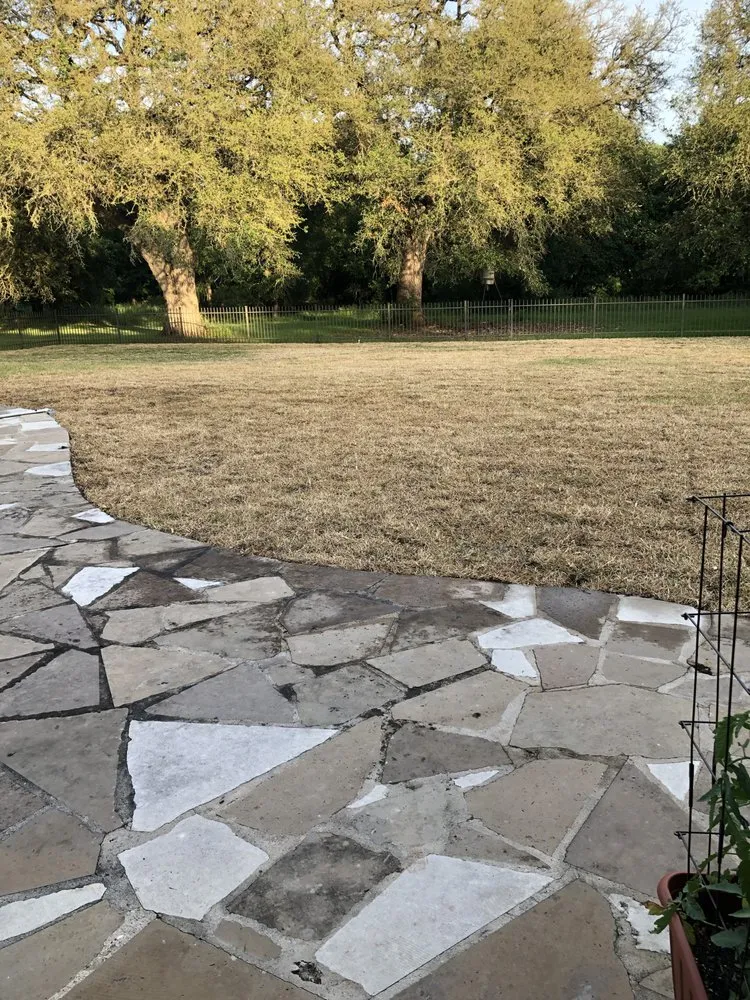 Affordable lawn care service in Austin, TX by King Ranch Turfgrass
