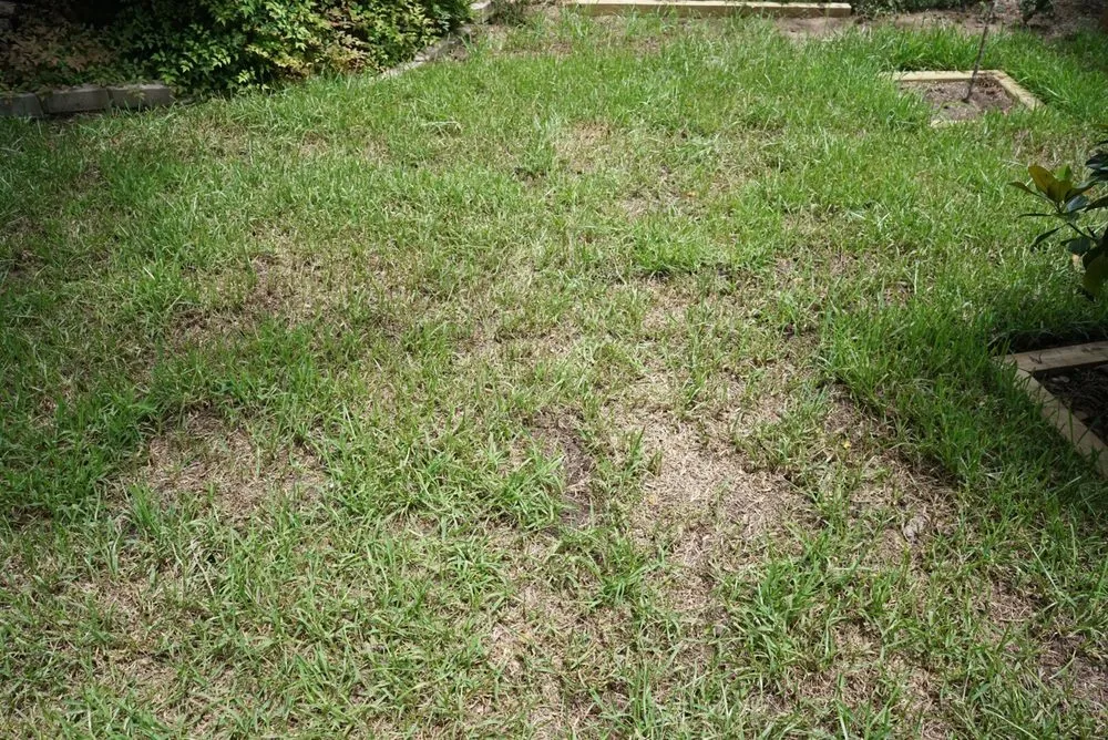Custom landscaping services for residential properties in Austin, TX by King Ranch Turfgrass