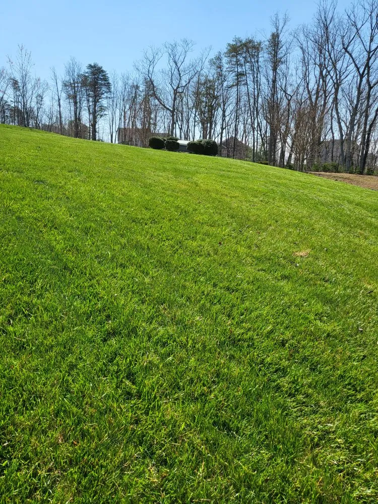 Reliable lawn care service for beautiful yards across Charlottesville, VA - King Services