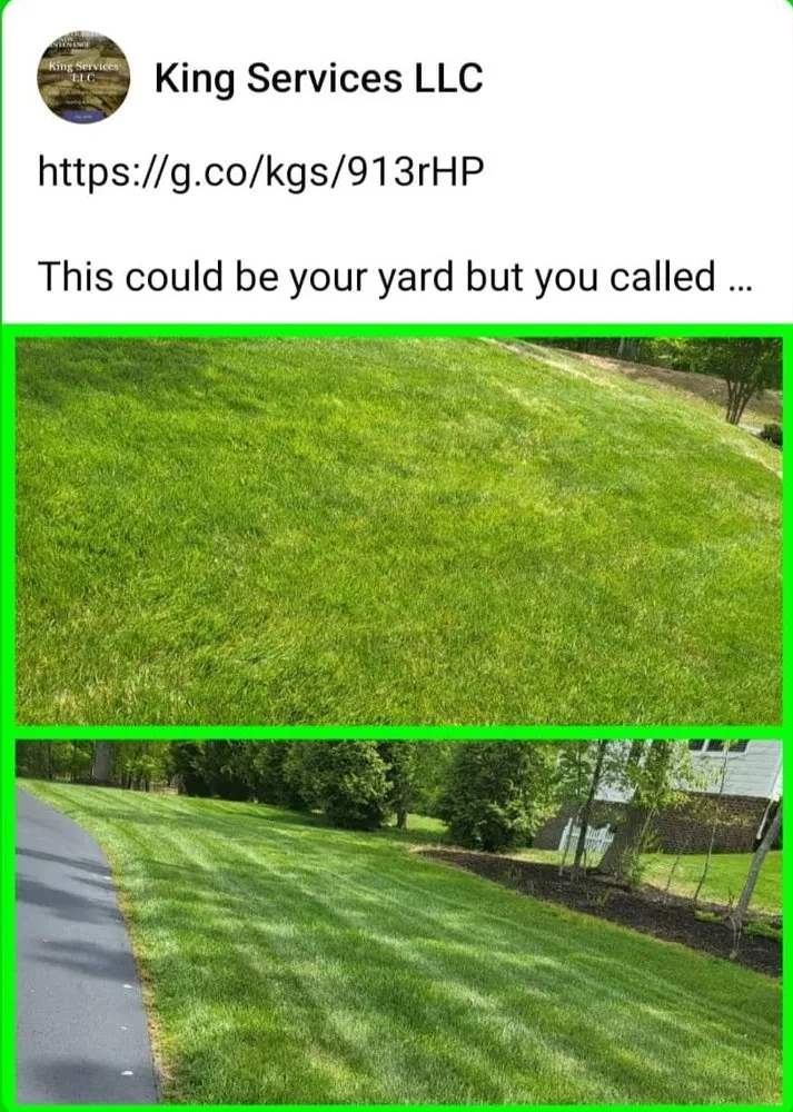 Custom garden landscaping for outdoor upgrades in Charlottesville, VA by King Services