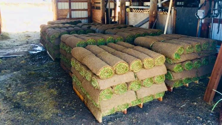 Professional residential landscaping in Rathdrum, ID by King Sod