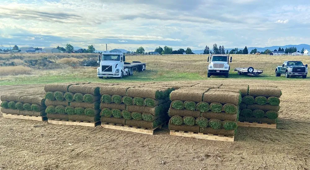 Affordable landscape design in Rathdrum, ID - King Sod