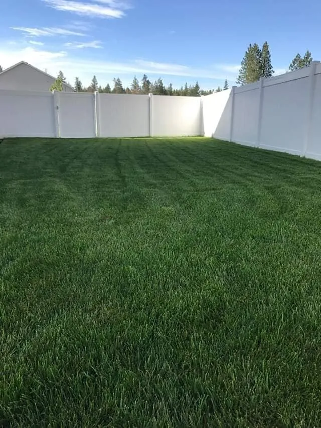 Trusted lawn mowing service for outdoor upgrades across Rathdrum, ID - King Sod