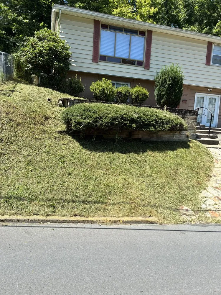 Affordable lawn care service near you in Morgantown, WV by King Solomon Creations Lawncare