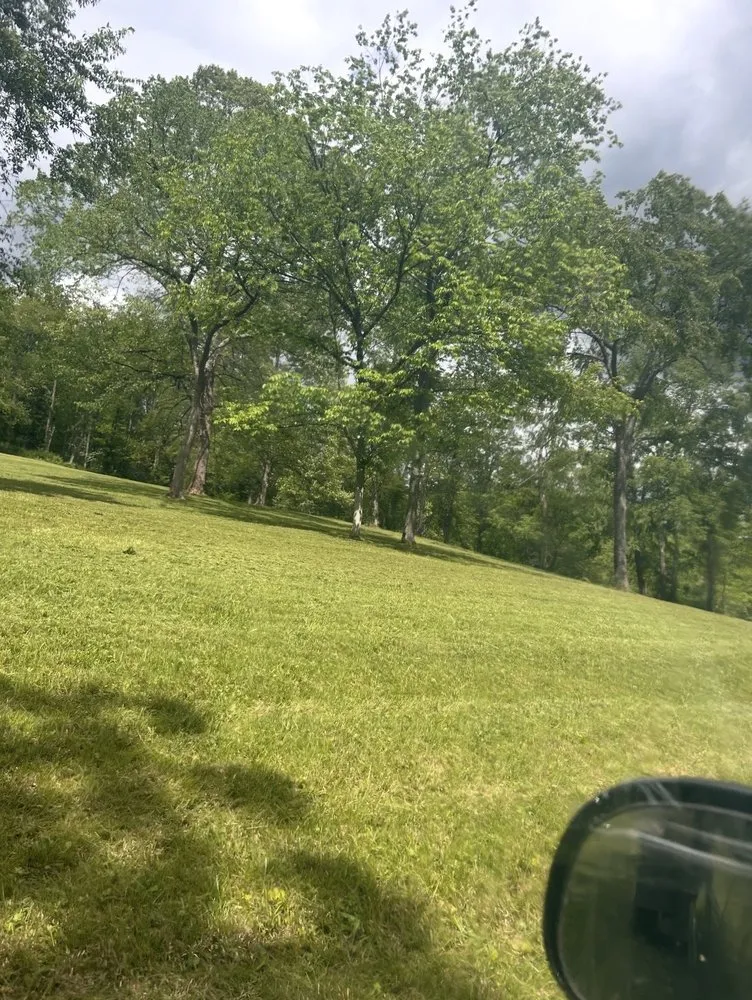 Affordable yard cleanup service near you in Morgantown, WV by King Solomon Creations Lawncare