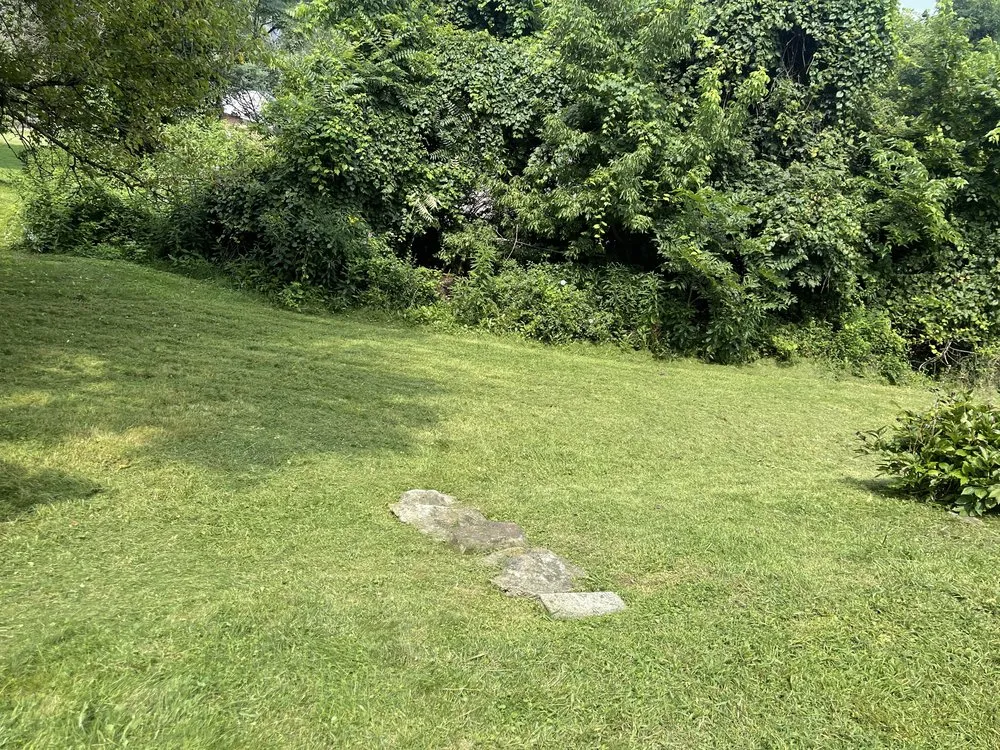 Reliable yard cleanup service experts serving Morgantown, WV - King Solomon Creations Lawncare