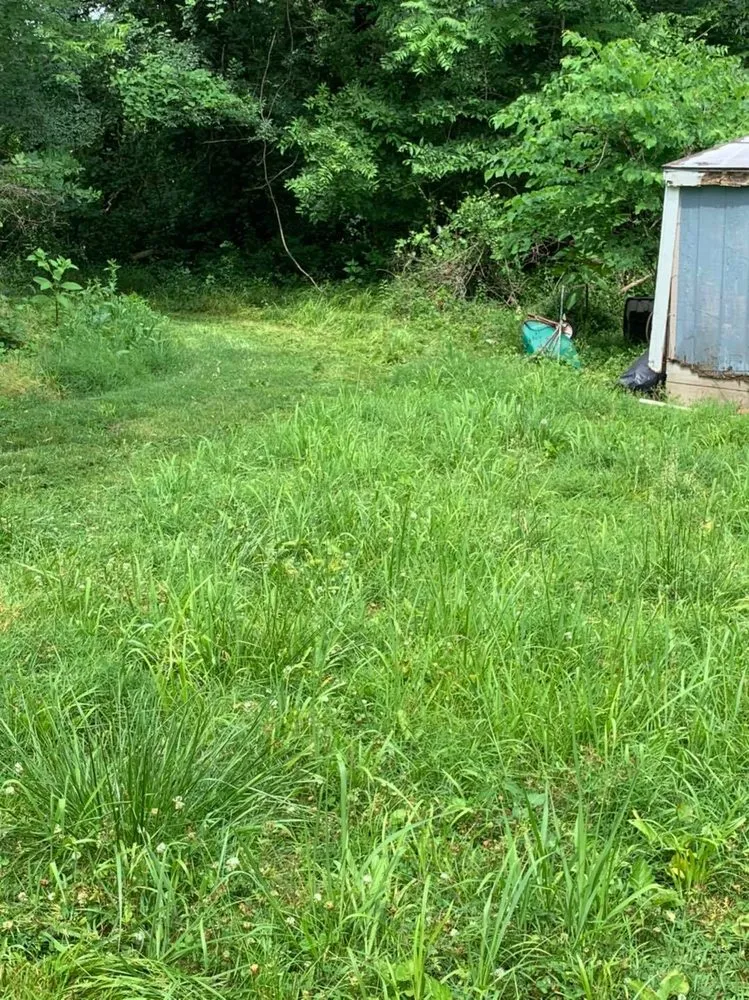 Affordable yard cleanup service in Joplin, MO - King Style Mowing