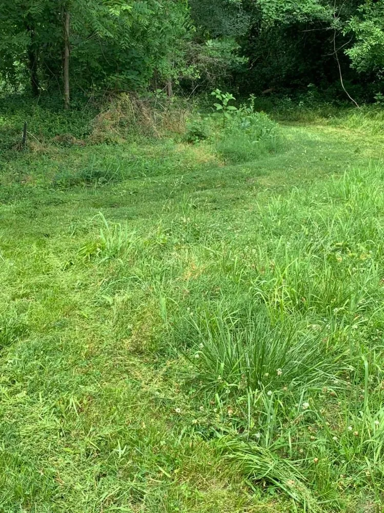 Top-rated landscape design for beautiful yards in Joplin, MO by King Style Mowing