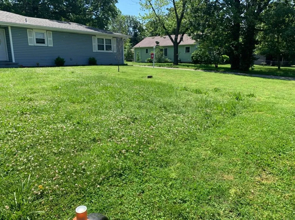 Professional lawn care service in Joplin, MO by King Style Mowing