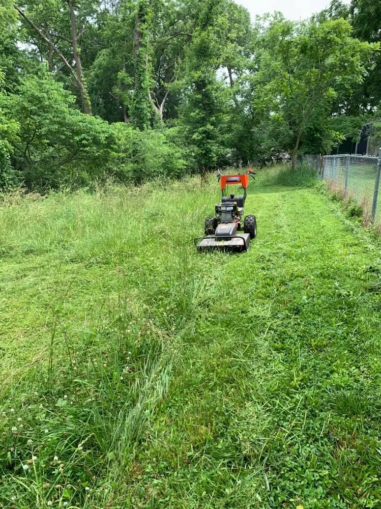 Affordable yard cleanup service in Joplin, MO - King Style Mowing