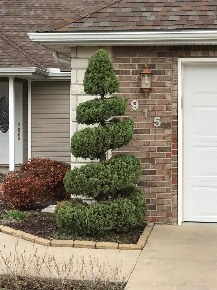 Professional yard cleanup service for homes across Joplin, MO - King Style Mowing