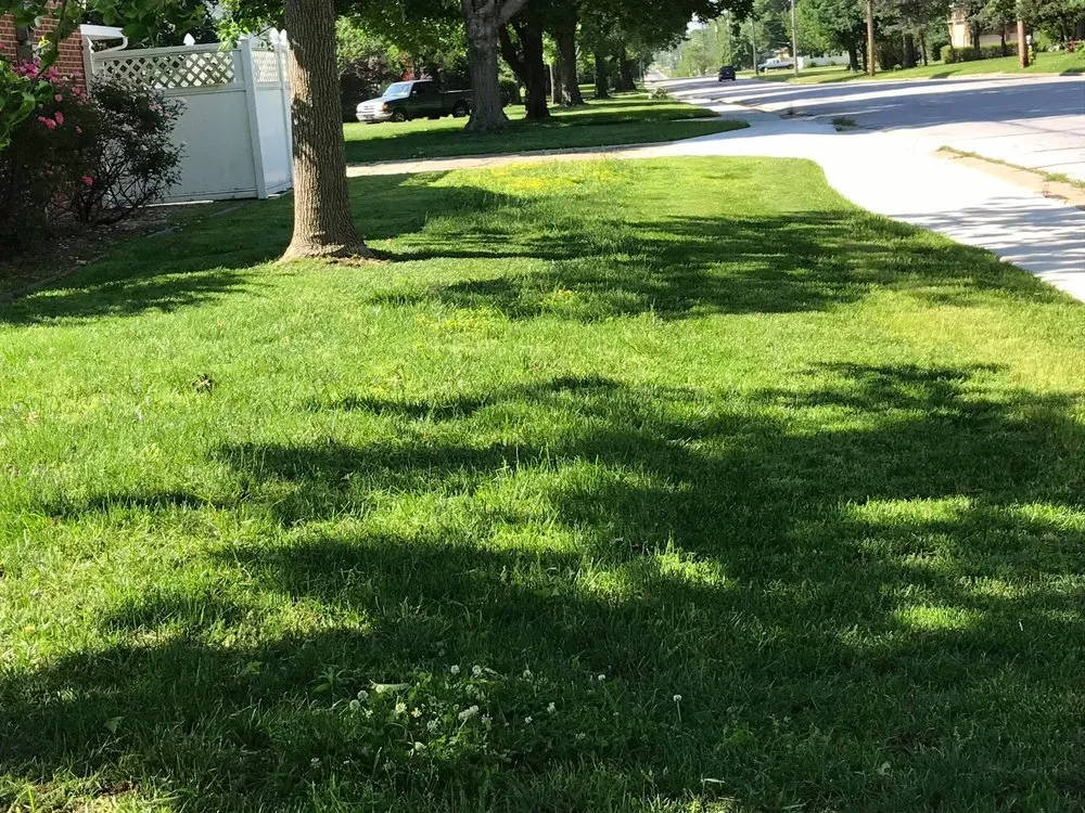 Expert yard maintenance in Joplin, MO by King Style Mowing