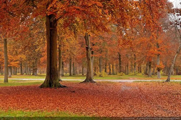 King Style Mowing Logo