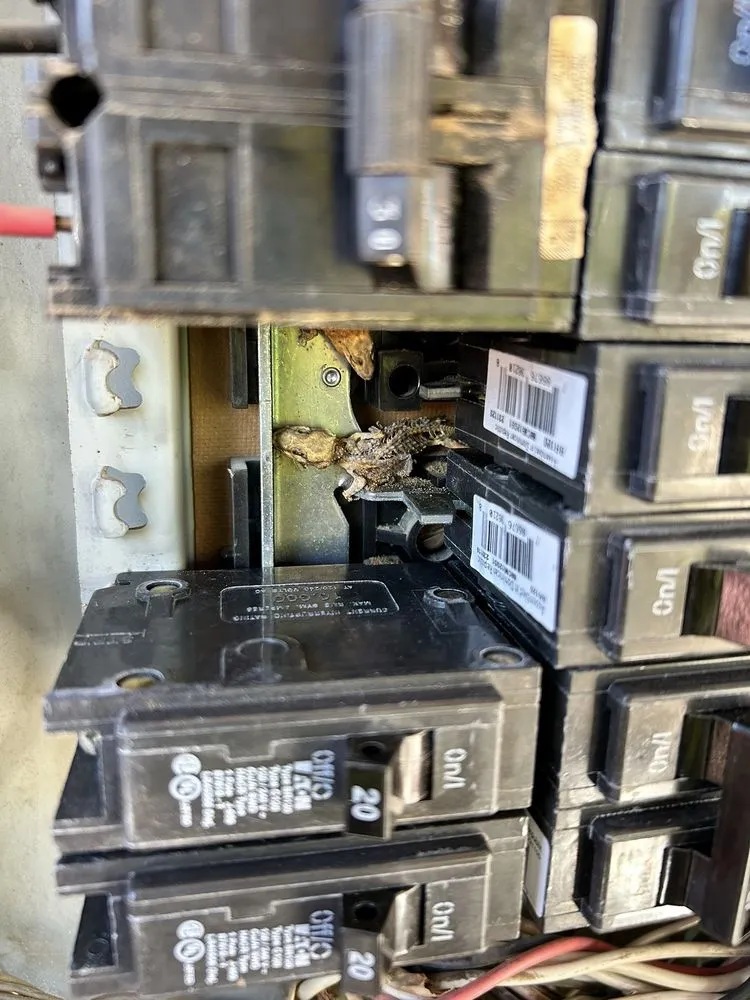 Reliable residential landscaping experts serving Mesa, AZ - King Trades Electric