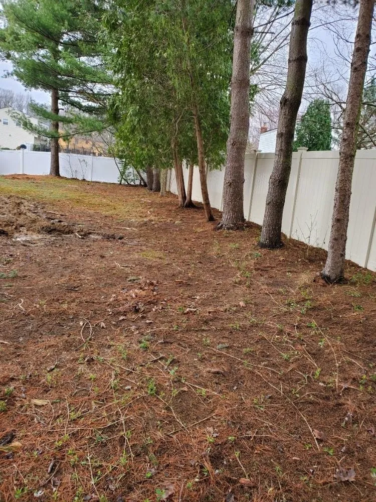 Expert yard maintenance with custom design across Hillsborough, NJ - King Tree Service